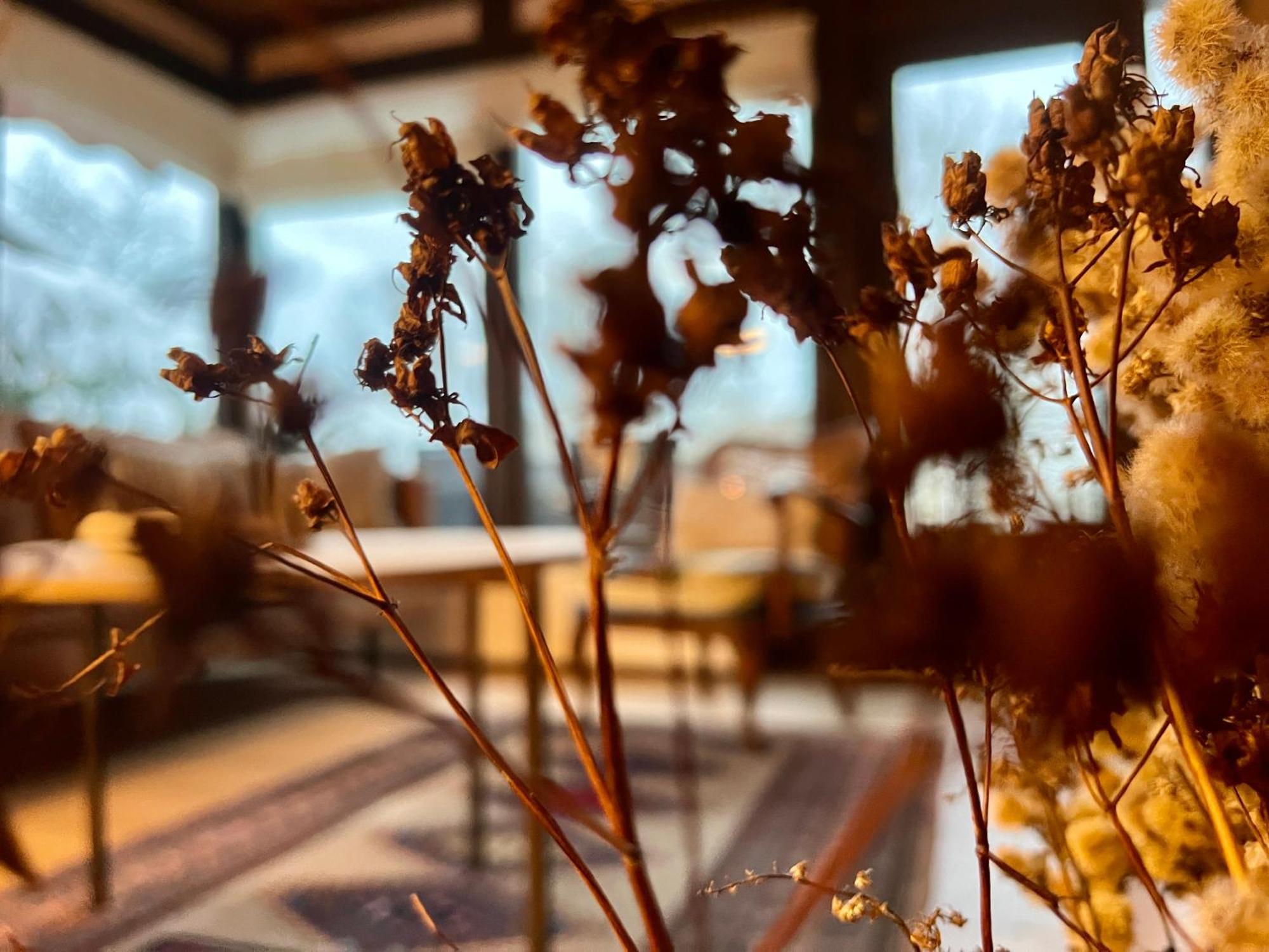 Charmantes Haus Am Hennesee 메체데 외부 사진
